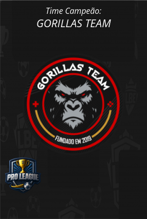 Banner Campeão