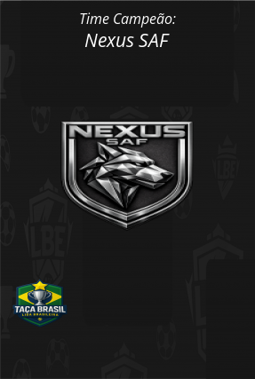 Banner Campeão