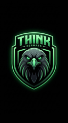 THINK ESPORTS