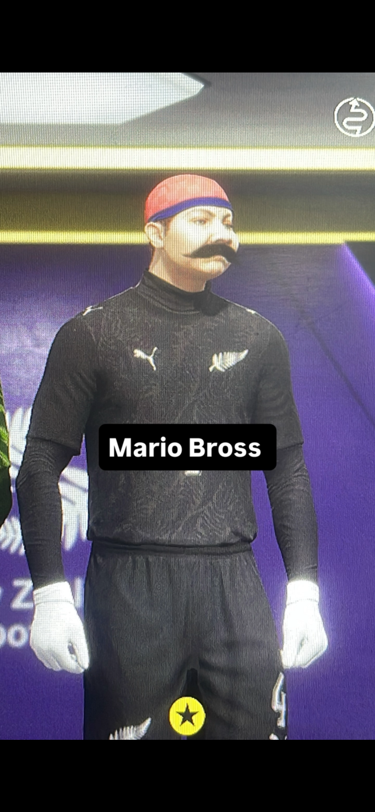 mariobrosspro1